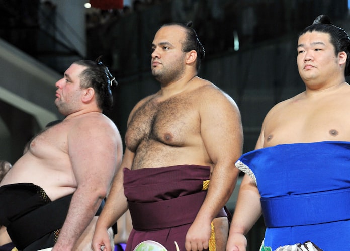 照ノ富士に続け 遠藤ら平成生まれ力士の出世競争 日本経済新聞 照ノ富士に続け 遠藤ら平成生まれ力士の出世競争 日本経済新聞