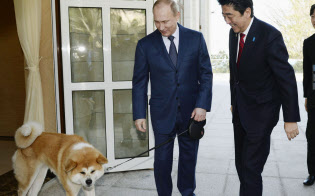 秋田県から贈られた秋田犬「ゆめ」とともに、安倍首相を出迎えるロシアのプーチン大統領(2014年2月、ソチ)=共同 秋田県から贈られた秋田犬「ゆめ」とともに、安倍首相を出迎えるロシアのプーチン大統領(2014年2月、ソチ)=共同
