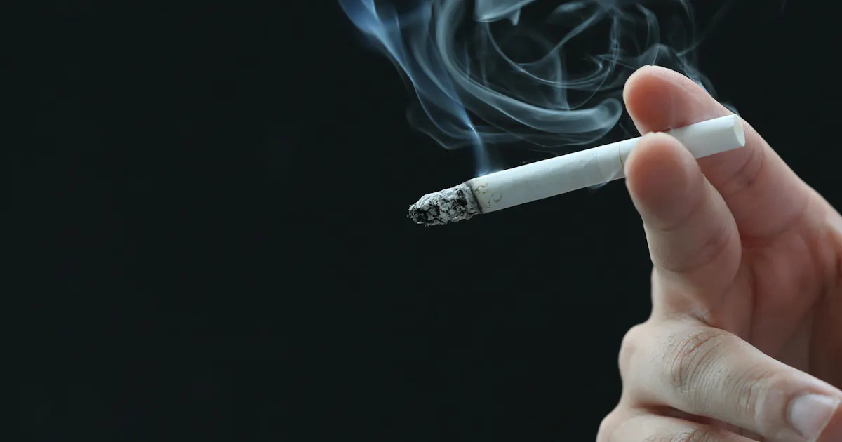 日本人のたばこ依存 遺伝と相関 理研が解析 日本経済新聞 日本人のたばこ依存 遺伝と相関 理研が解析 日本経済新聞