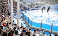 「ドルフィンスタジアム」ではイルカのショーが見学できる（新潟市の新潟市水族館「マリンピア日本海」）
