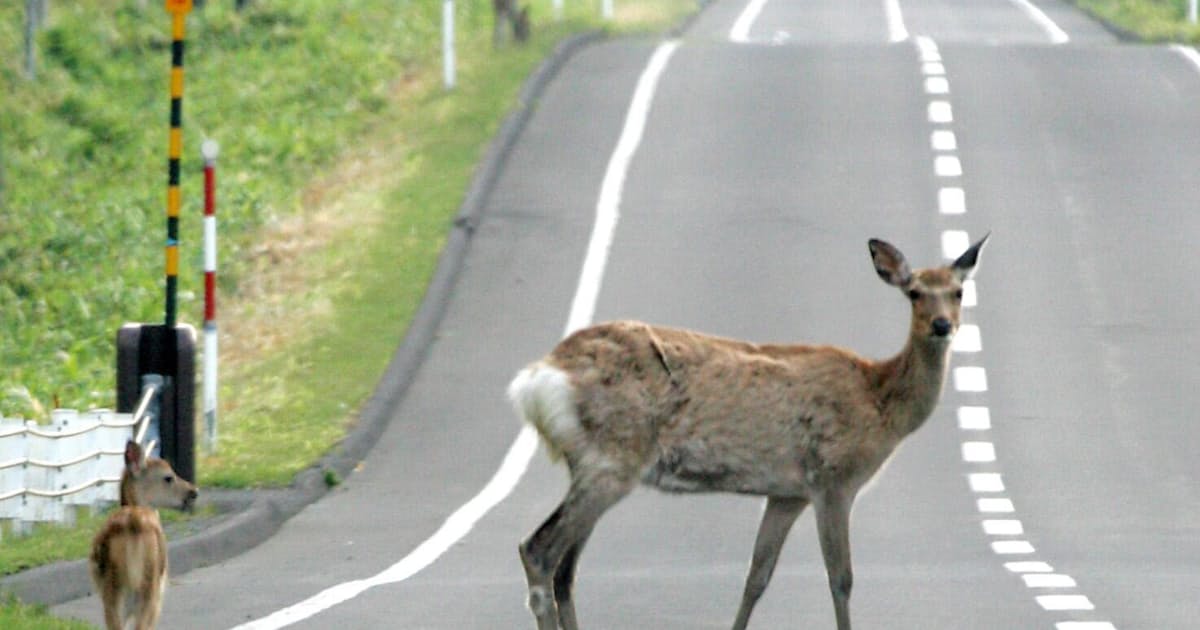 温暖化が招いたシカ イノシシ大繁殖 日本経済新聞