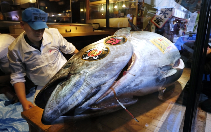 築地のマグロ初セリ 最高値1匹1400万円 キロ単価2 8倍 日本経済新聞