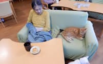 ペットと暮らす特別養護老人ホームの入居者（神奈川県横須賀市の「さくらの里山科」）