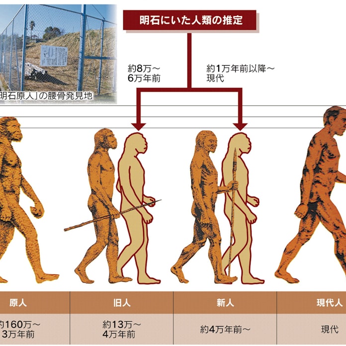 最速 ジャワ原人 特徴 最速 ジャワ原人 特徴