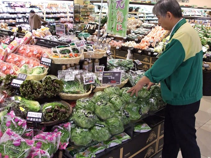 野菜ようやく値下がり トマトは例外 6割高 日本経済新聞