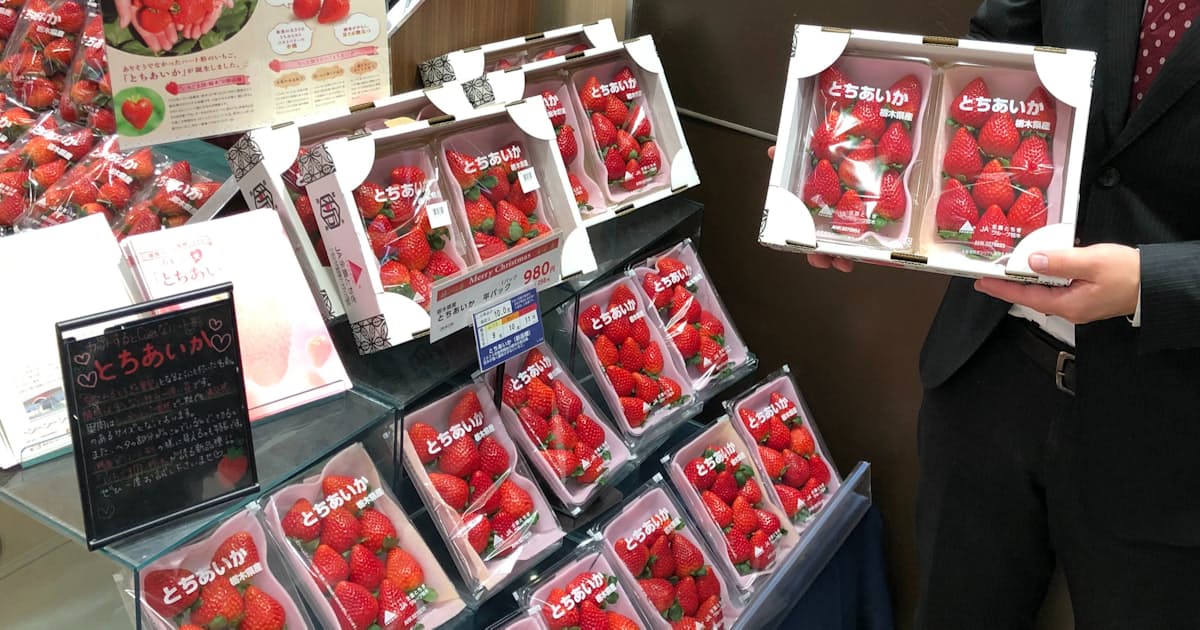 イチゴ新品種 とちあいか 店頭やケーキ店でお目見え 日本経済新聞 イチゴ新品種 とちあいか 店頭やケーキ店でお目見え 日本経済新聞