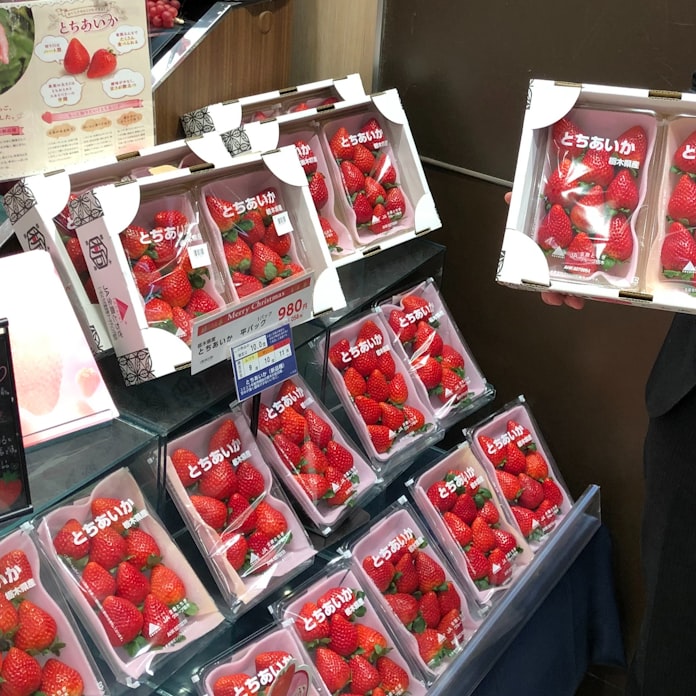 イチゴ新品種 とちあいか 店頭やケーキ店でお目見え 日本経済新聞 イチゴ新品種 とちあいか 店頭やケーキ店でお目見え 日本経済新聞