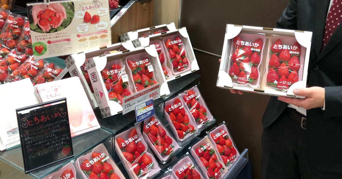 イチゴ新品種 とちあいか 店頭やケーキ店でお目見え 日本経済新聞 イチゴ新品種 とちあいか 店頭やケーキ店でお目見え 日本経済新聞