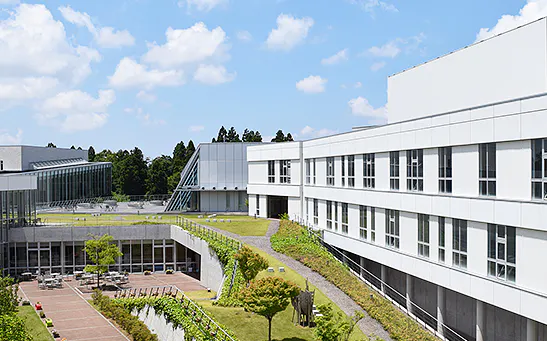 新潟薬科大 看護など2学部新設 23年春から 日本経済新聞