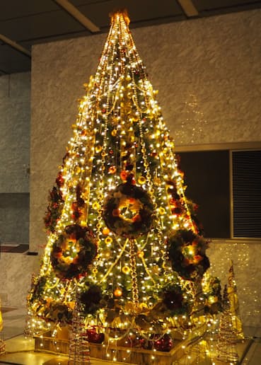 千葉県庁にクリスマスツリー 専門校生徒が制作 日本経済新聞 千葉県庁にクリスマスツリー 専門校生徒が制作 日本経済新聞