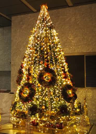 千葉県庁にクリスマスツリー 専門校生徒が制作 日本経済新聞 千葉県庁にクリスマスツリー 専門校生徒が制作 日本経済新聞