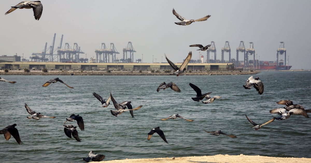 石油タンカーで爆発 サウジ西部の港 外部の攻撃 日本経済新聞 石油タンカーで爆発 サウジ西部の港 外部の攻撃 日本経済新聞