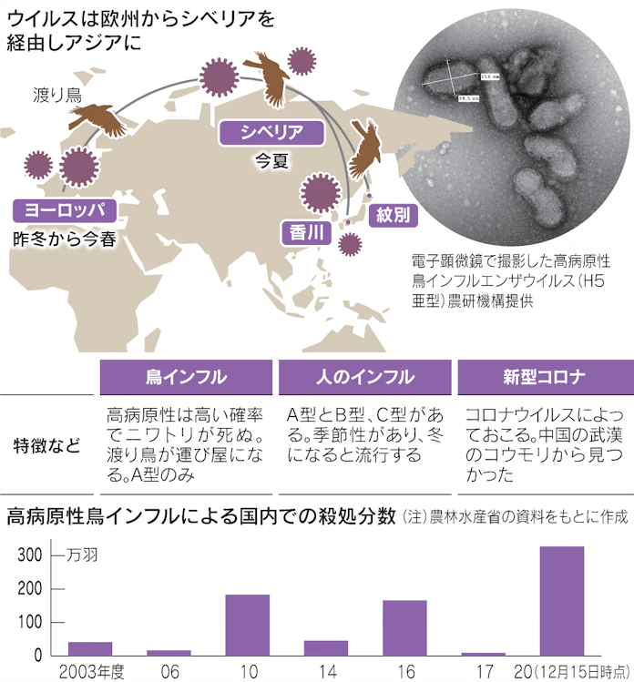 鳥インフルの被害最悪 中国発ウイルス 渡り鳥が運ぶ 日本経済新聞