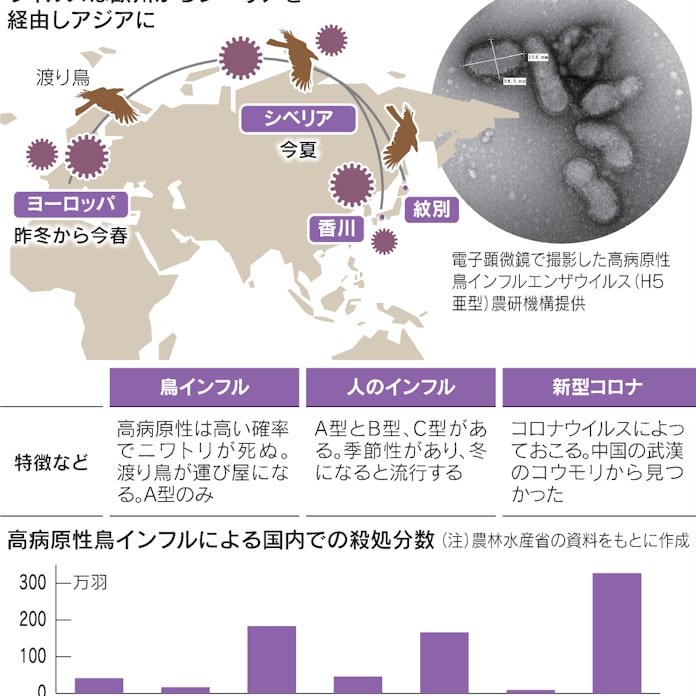 鳥インフルの被害最悪 中国発ウイルス 渡り鳥が運ぶ 日本経済新聞 鳥インフルの被害最悪 中国発ウイルス 渡り鳥が運ぶ 日本経済新聞