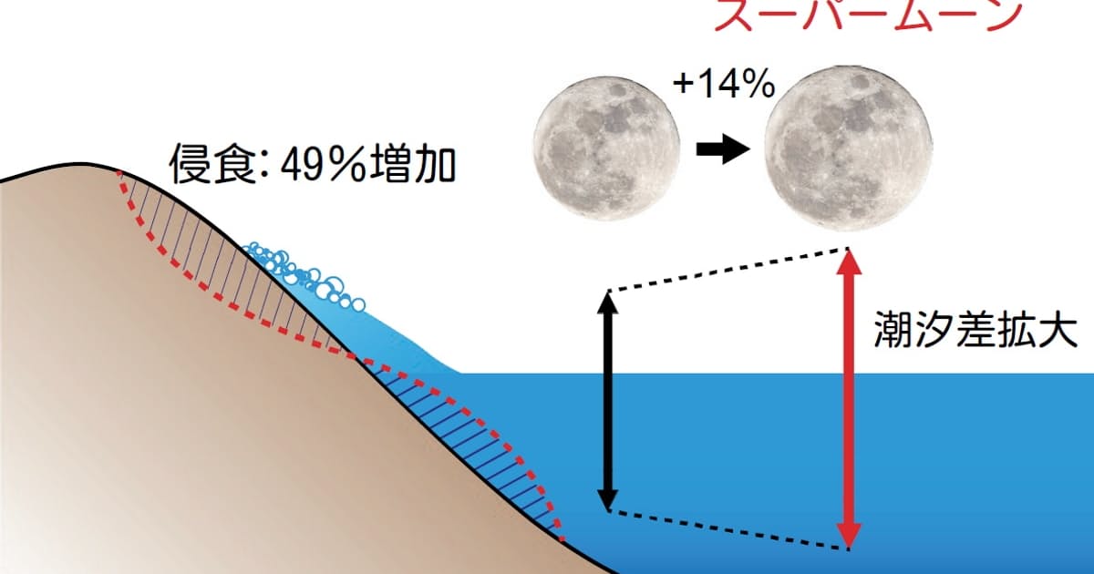 スーパームーンで砂浜浸食50 増し 異例の観測研究 日本経済新聞 スーパームーンで砂浜浸食50 増し 異例の観測研究 日本経済新聞