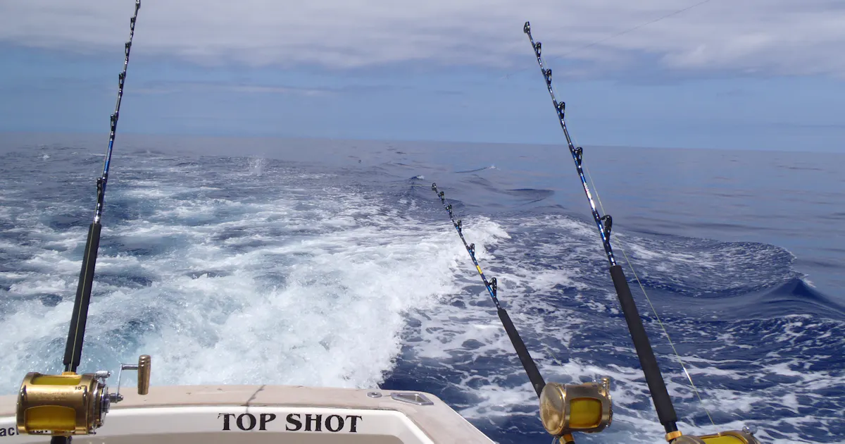 釣りのジンクス 梅干し持参はアタリなし 日本経済新聞 釣りのジンクス 梅干し持参はアタリなし 日本経済新聞