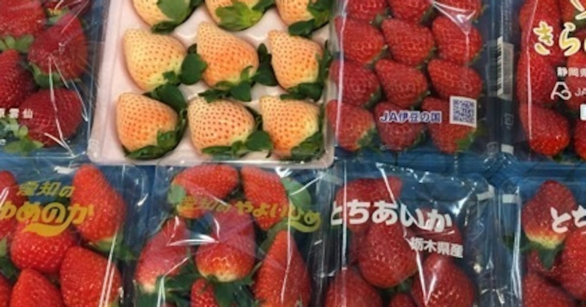 イチゴ 過去20年で最高値 日本で 独自の進化 日本経済新聞