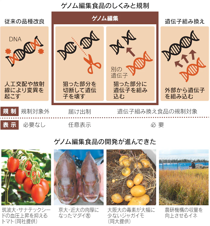 日本経済新聞