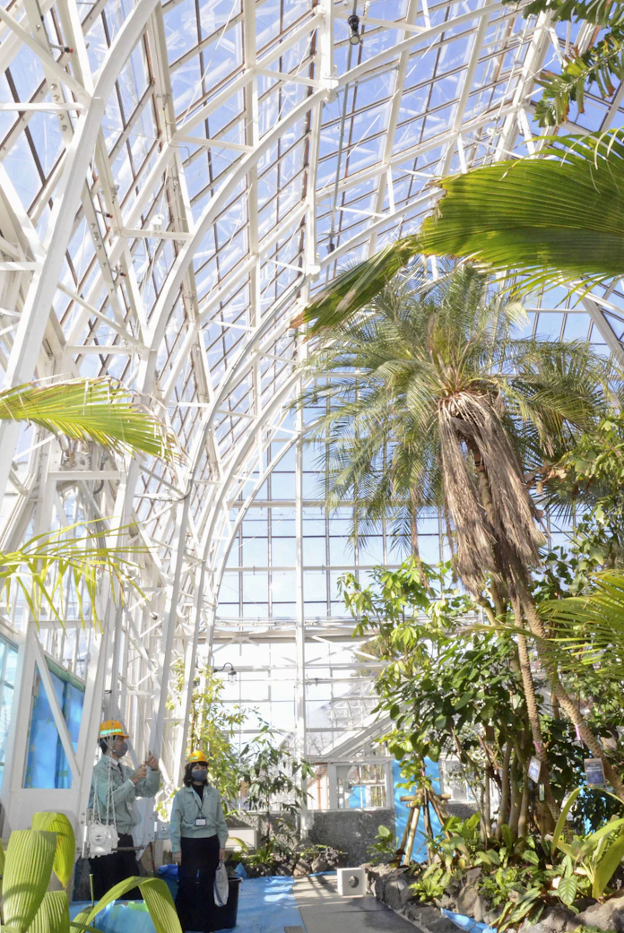 最古の温室 7年かけ修復 東山動植物園で今春再開業 日本経済新聞 最古の温室 7年かけ修復 東山動植物園で今春再開業 日本経済新聞