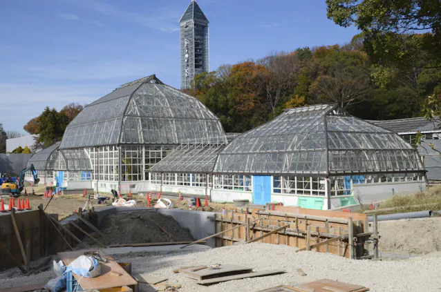 最古の温室 7年かけ修復 東山動植物園で今春再開業 日本経済新聞 最古の温室 7年かけ修復 東山動植物園で今春再開業 日本経済新聞