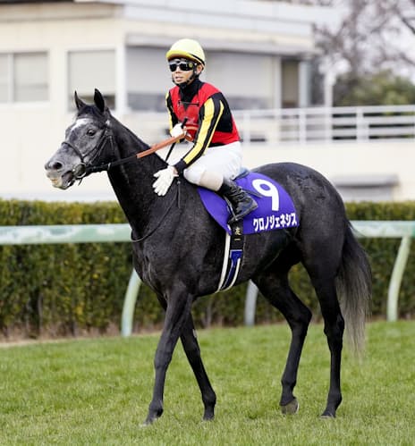 異例のjra賞選定 高水準の年シーズン象徴 日本経済新聞 異例のjra賞選定 高水準の年シーズン象徴 日本経済新聞