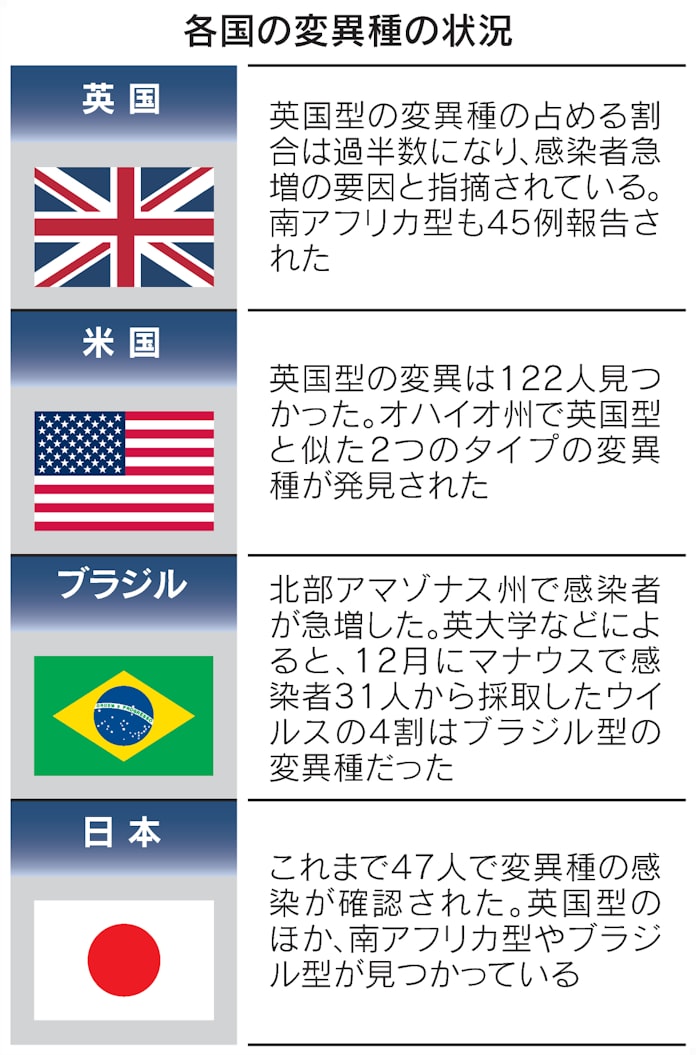 イギリス 変異 種 日本 変異 日本 イギリス 種