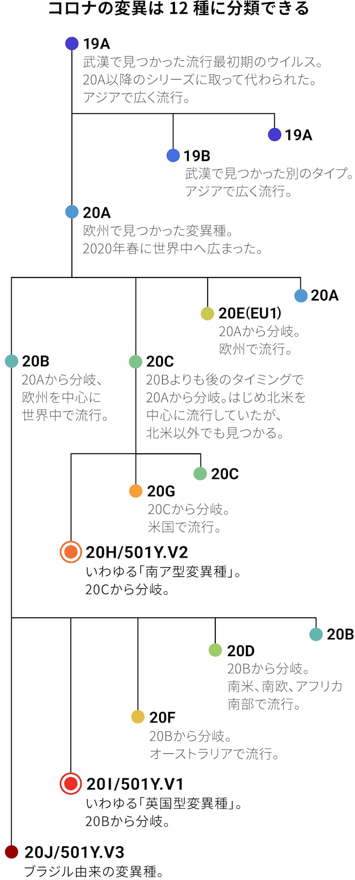 新型 コロナ 変異 種 と は コロナ 種 と 変異 は 新型