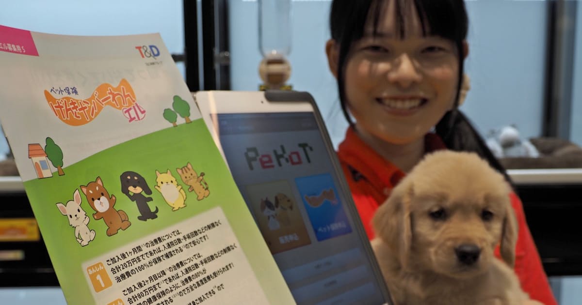 ペット保険の契約 半年で11 5万件増 巣ごもりで特需 日本経済新聞 ペット保険の契約 半年で11 5万件増 巣ごもりで特需 日本経済新聞