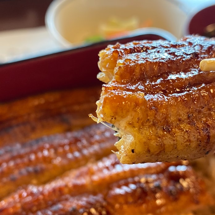 シラスウナギ2年連続豊漁 7年ぶり安値 前年4割下回る 日本経済新聞 シラスウナギ2年連続豊漁 7年ぶり安値 前年4割下回る 日本経済新聞