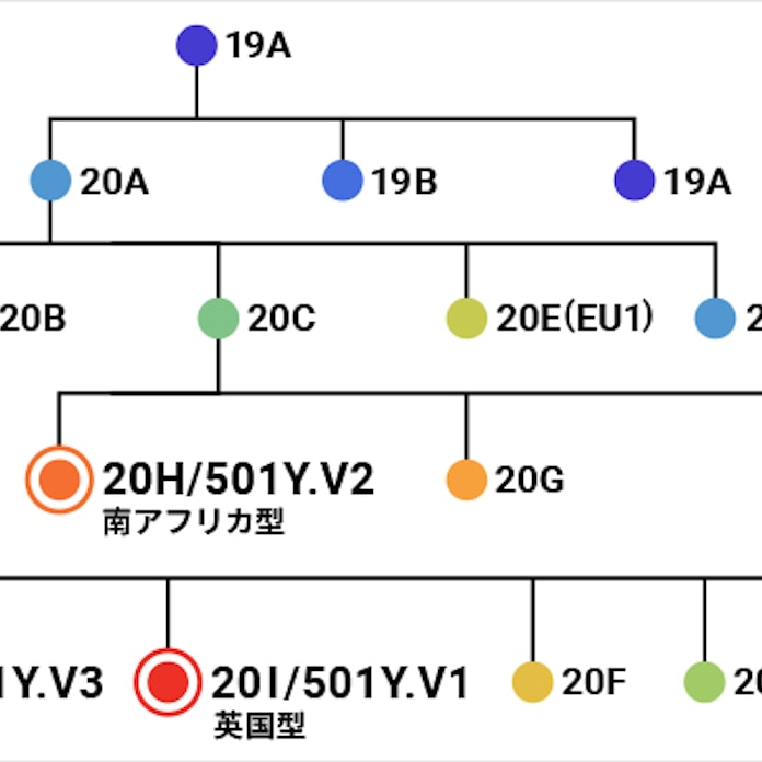 変異 種 コロナ 症状 種 コロナ 症状 変異
