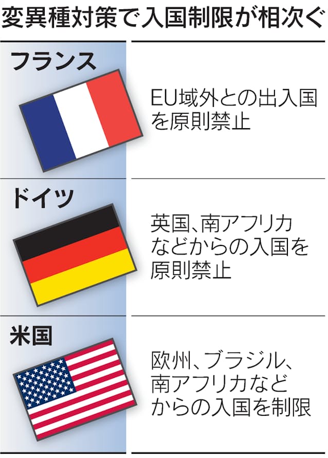 鹿児島 変異 種 変異 種 鹿児島