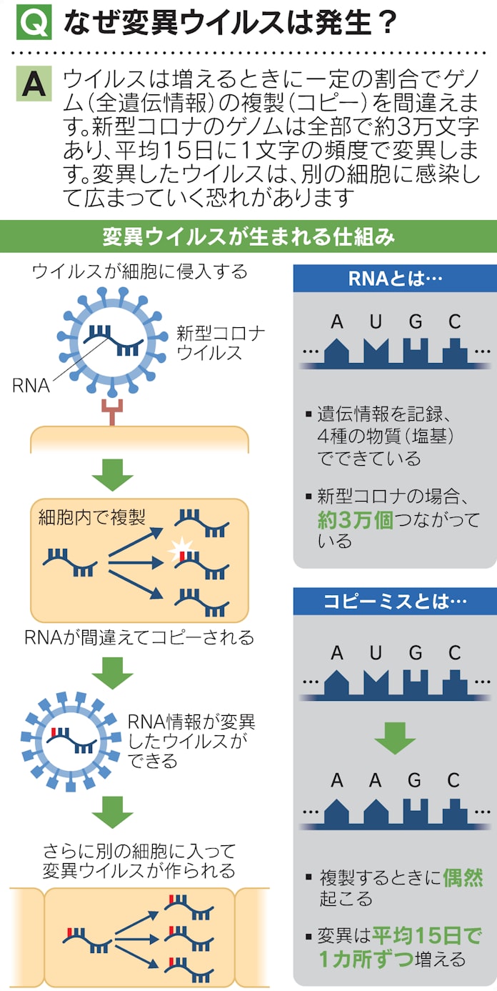 変異 ウィルス ウィルス 変異