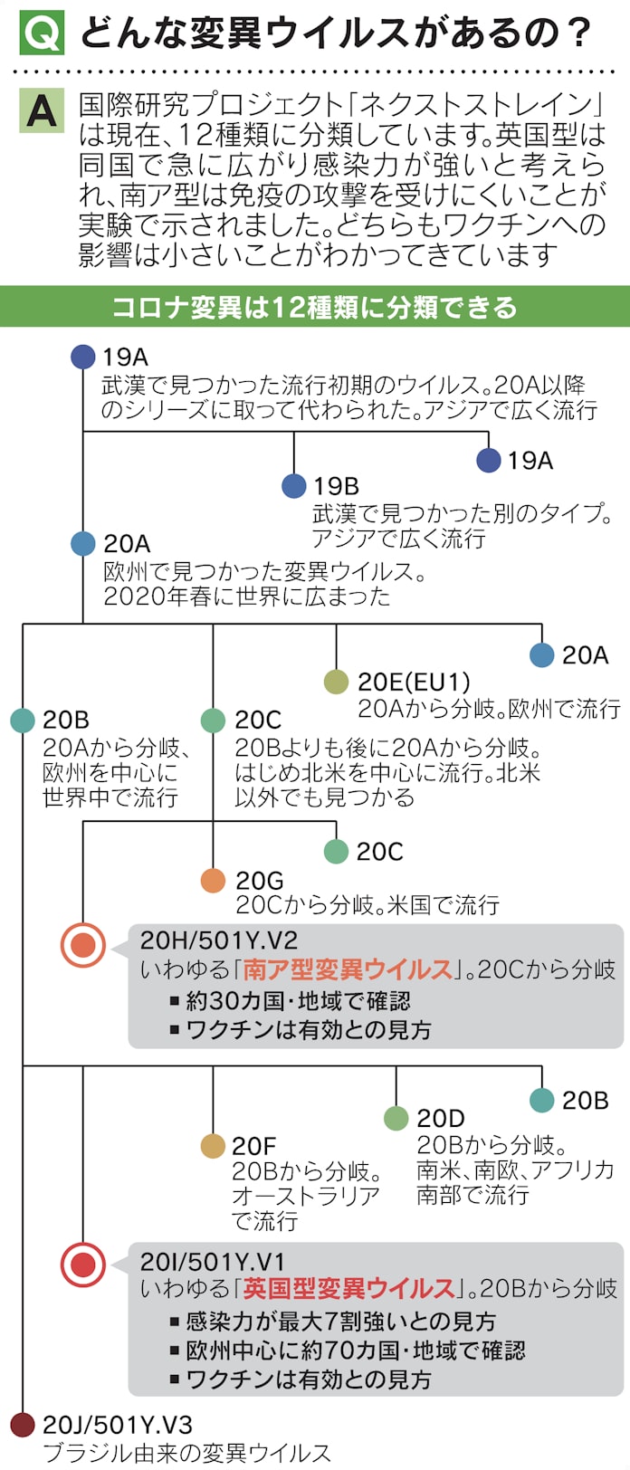 変異 ウィルス