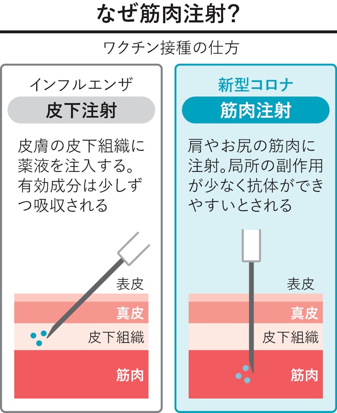 知っておきたいコロナワクチン副作用 腕の痛みや発熱 日本経済新聞