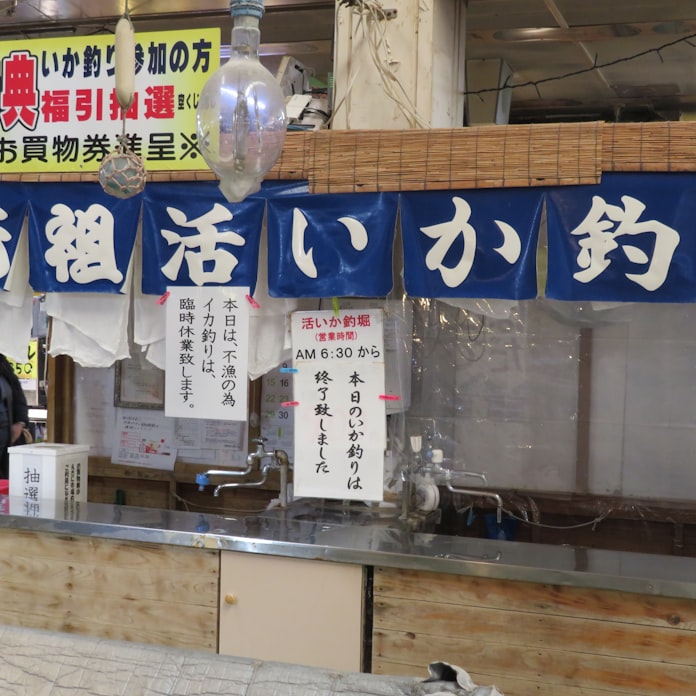 新型コロナ スルメイカ不漁の裏に中国漁船 日本の4倍を乱獲か 日本経済新聞