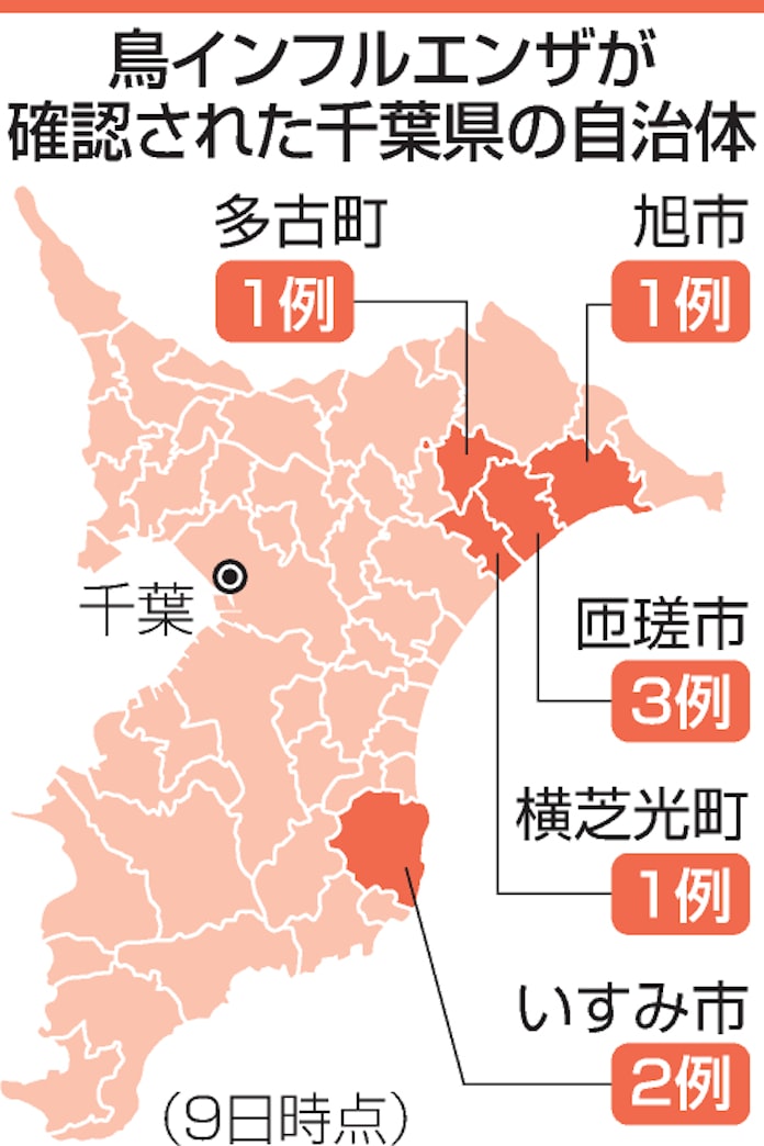 千葉県の鳥インフル 殺処分400万羽超す 採卵鶏の3割に 日本経済新聞 千葉県の鳥インフル 殺処分400万羽超す 採卵鶏の3割に 日本経済新聞