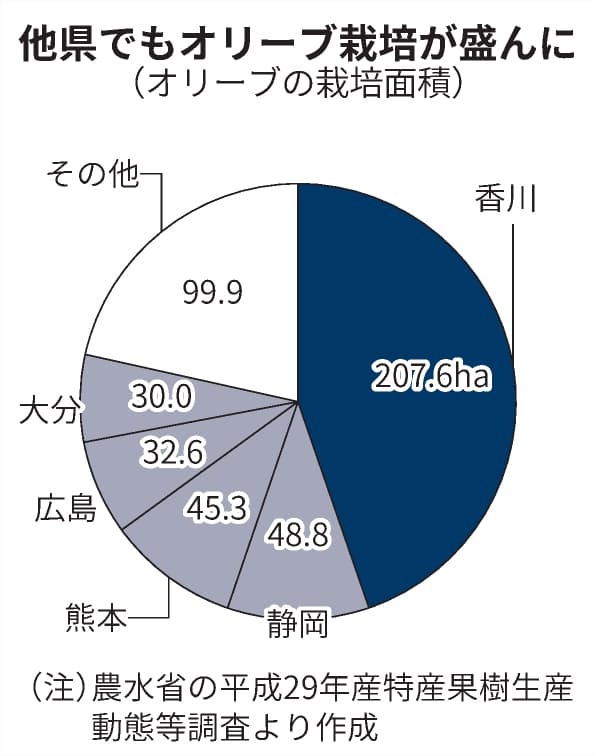 香川のオリーブ 新品種でブランド強化 初の登録出願 日本経済新聞 香川のオリーブ 新品種でブランド強化 初の登録出願 日本経済新聞