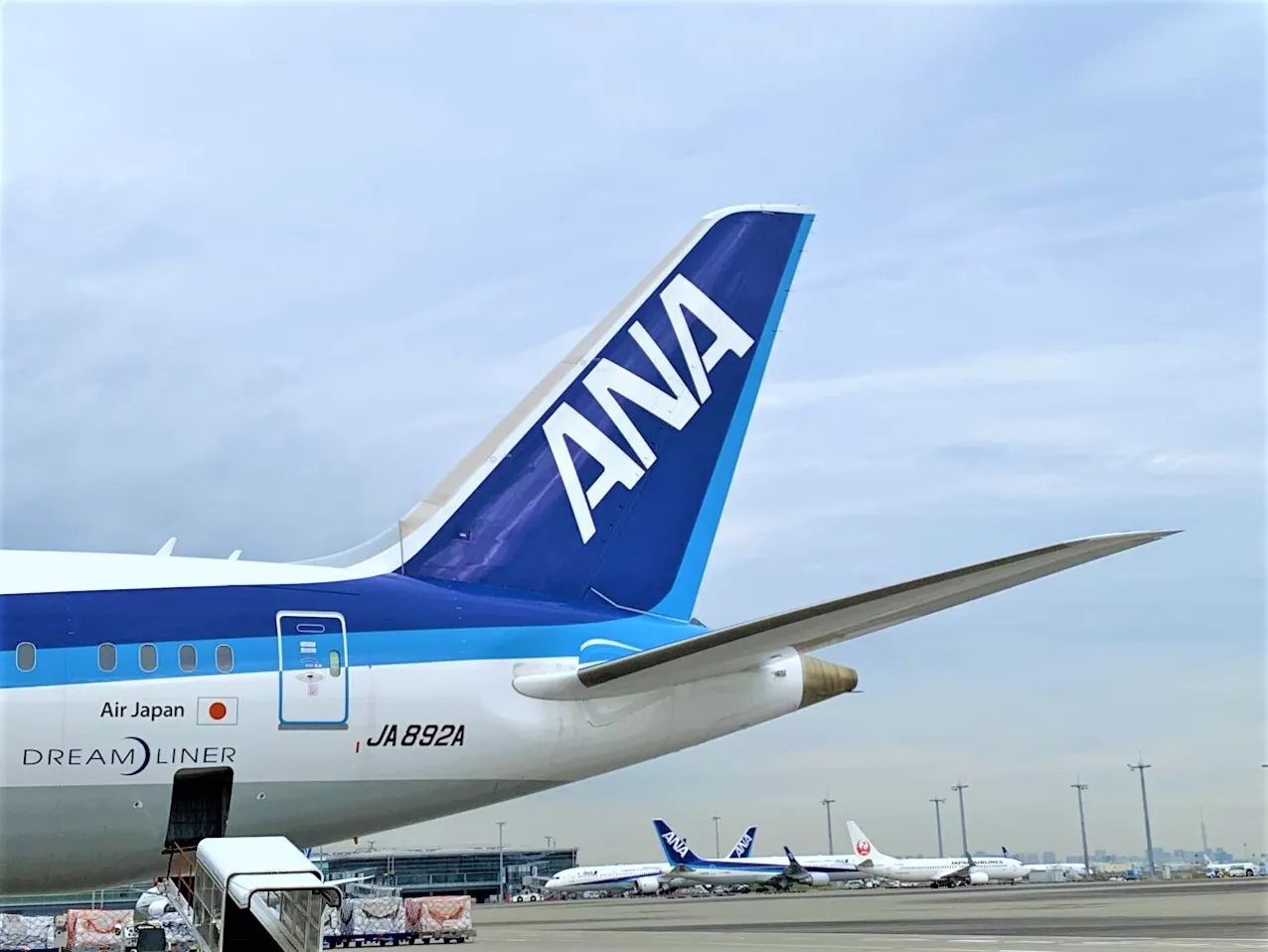 Ana ヤンゴン線19日に一時再開 クーデター後初 日本経済新聞