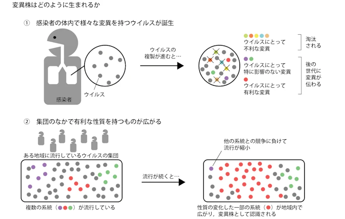 日本経済新聞
