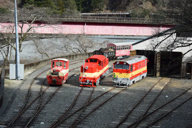 大井川鉄道 井川線の撮影ツアー 夜桜など名所訪問 日本経済新聞