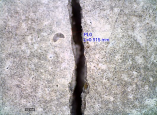 菌の呼吸 建物補修に全集中 自分で直す材料を開発 日本経済新聞