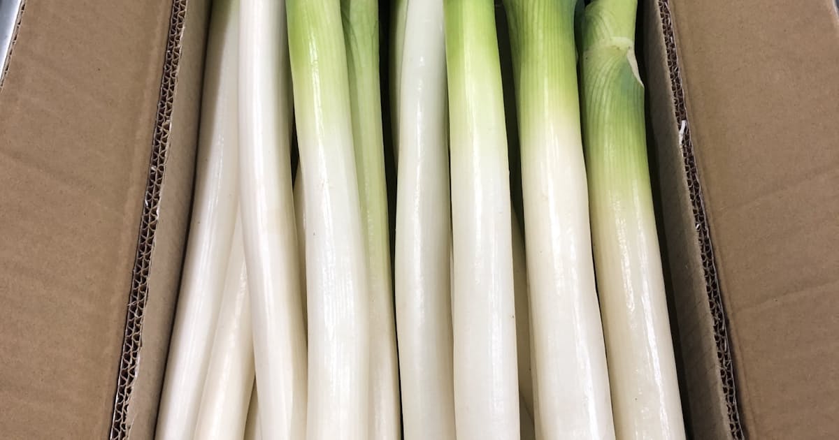 中国産野菜が値上がり 寒波が影響 ネギ平年比2倍超 日本経済新聞 中国産野菜が値上がり 寒波が影響 ネギ平年比2倍超 日本経済新聞