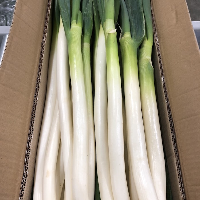 中国産野菜が値上がり 寒波が影響 ネギ平年比2倍超 日本経済新聞 中国産野菜が値上がり 寒波が影響 ネギ平年比2倍超 日本経済新聞