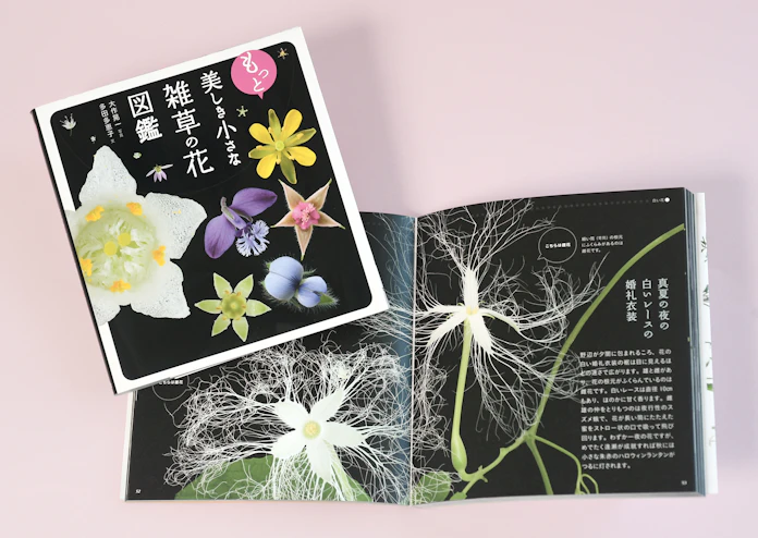 アクセサリーや花束に 雑草 が放つ宝石の輝き 日本経済新聞 アクセサリーや花束に 雑草 が放つ宝石の輝き 日本経済新聞