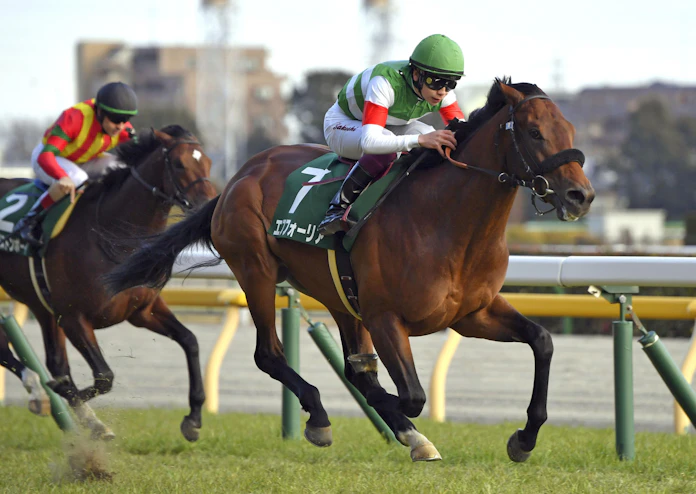 ノーザンファーム 逆襲へ着々 21年の3歳クラシック 日本経済新聞 ノーザンファーム 逆襲へ着々 21年の3歳クラシック 日本経済新聞