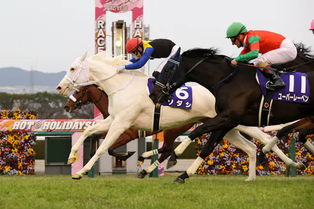 ノーザンファーム 逆襲へ着々 21年の3歳クラシック 日本経済新聞 ノーザンファーム 逆襲へ着々 21年の3歳クラシック 日本経済新聞