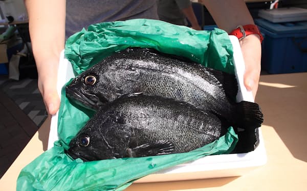 ゴリの佃煮 甘辛伝統の製法進化 逸品一品 日本経済新聞 ゴリの佃煮 甘辛伝統の製法進化 逸品一品 日本経済新聞