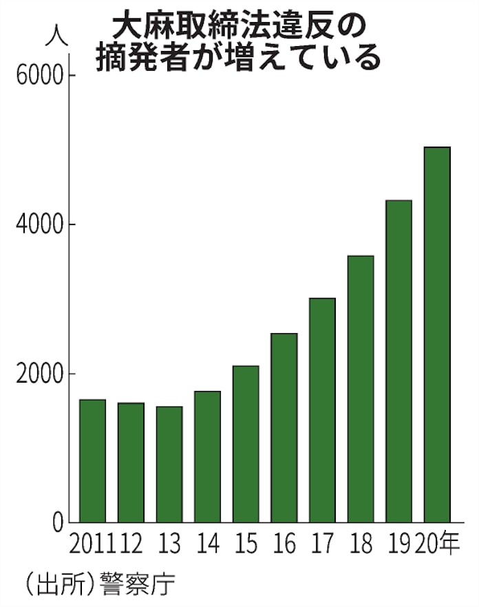 大麻摘発 最多5000人超 罪悪感薄く若者にまん延 日本経済新聞 大麻摘発 最多5000人超 罪悪感薄く若者にまん延 日本経済新聞