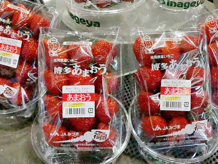 あまおう など種苗の海外持ち出し禁止 農水省リスト 日本経済新聞 あまおう など種苗の海外持ち出し禁止 農水省リスト 日本経済新聞