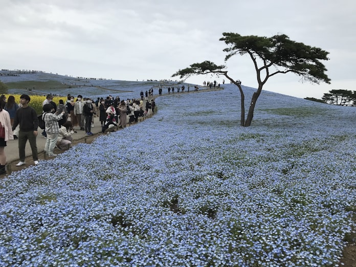 北関東3県観光 Gw目前に募る不安 東京など宣言発令で 日本経済新聞 北関東3県観光 Gw目前に募る不安 東京など宣言発令で 日本経済新聞